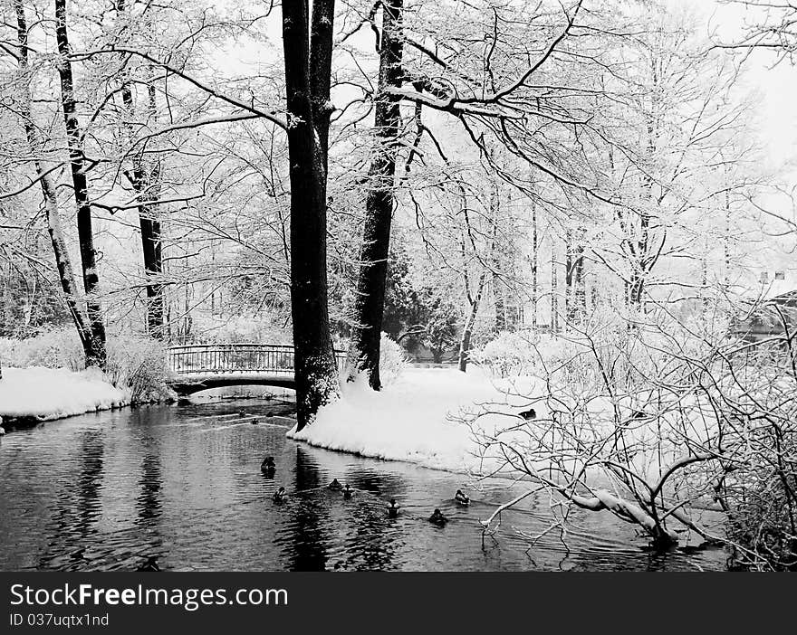 Park with a water course and bridge over it. Park with a water course and bridge over it.