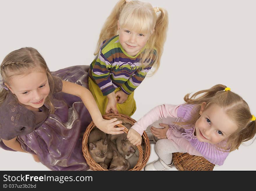 Little cute caucasian blond girls playing with Burmese cats standing isolated over white background and keeping animals in the big wicker basket. Little cute caucasian blond girls playing with Burmese cats standing isolated over white background and keeping animals in the big wicker basket