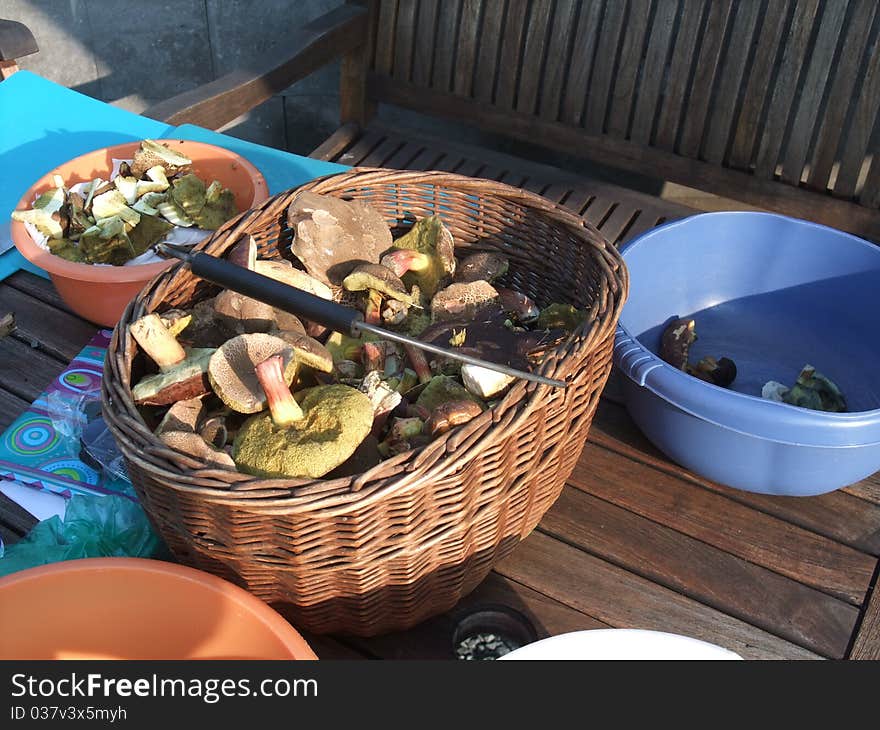 Cutting and chopping of mushrooms. Cutting and chopping of mushrooms