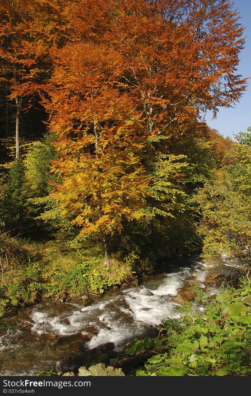 Beautiful waterfall in the mountains during the fall