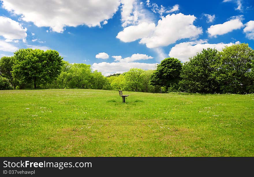 Summer landscape of young green trees with beautiful cloud. Summer landscape of young green trees with beautiful cloud