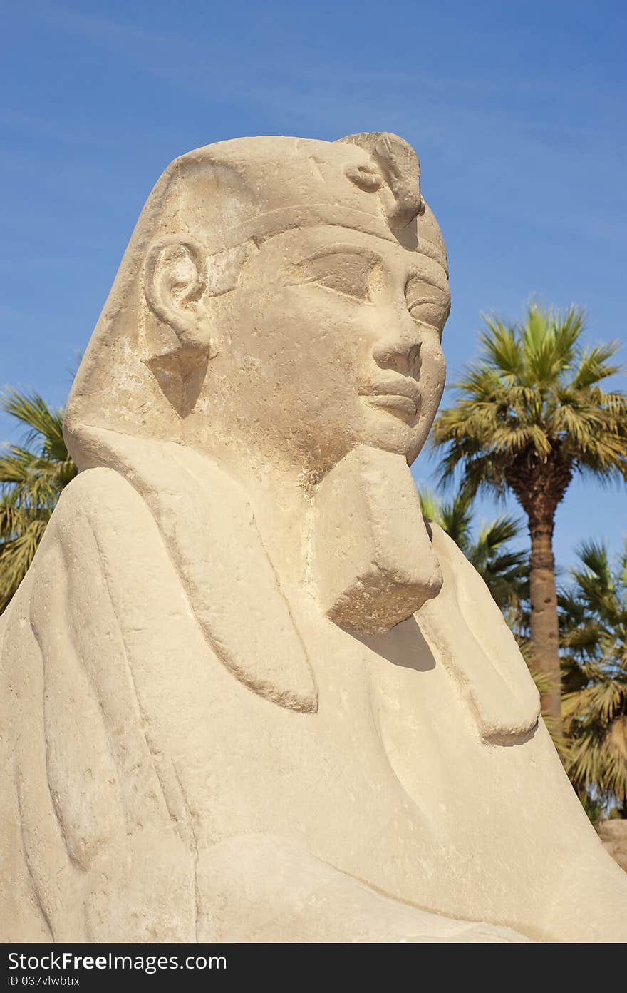 Small sphinx outside the entrance to Luxor Temple in Egypt. Small sphinx outside the entrance to Luxor Temple in Egypt