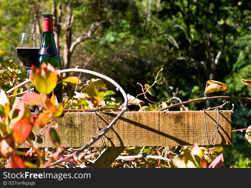 Bottle of Red Wine in Nature. Bottle of Red Wine in Nature