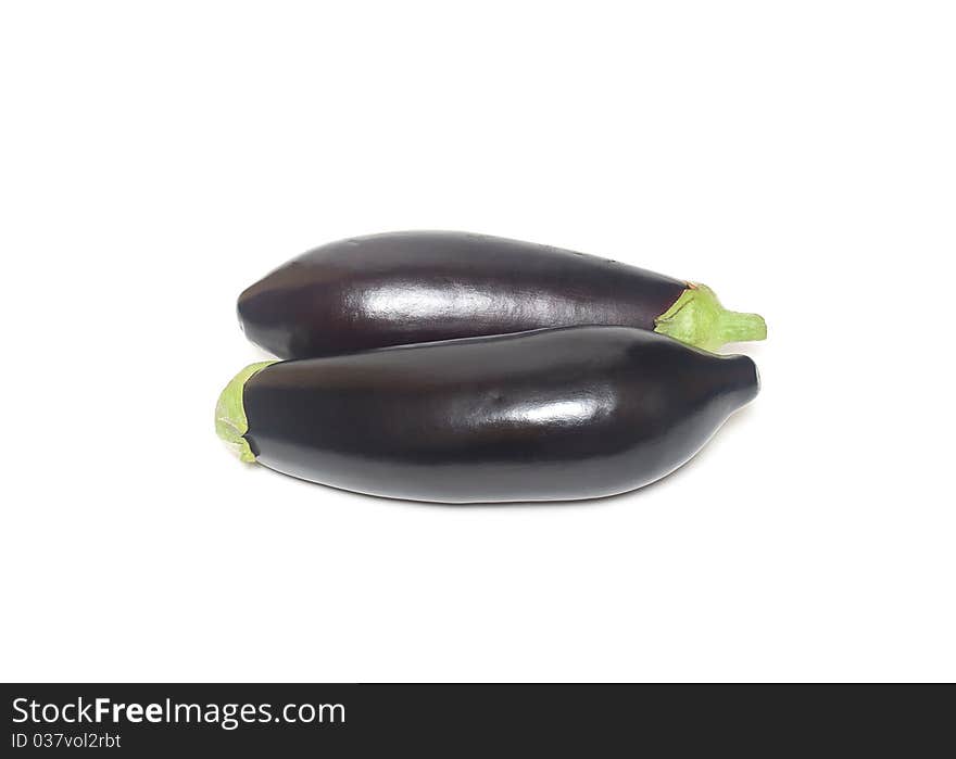 Eggplant species of perennial herbaceous plants