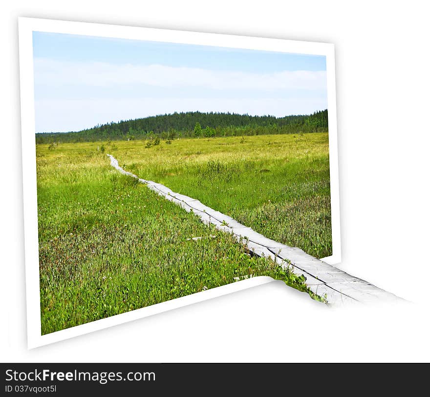 Duckboards on treeless swamp with out of boundary 3D effect. Isolated on white with clipping path included. Duckboards on treeless swamp with out of boundary 3D effect. Isolated on white with clipping path included