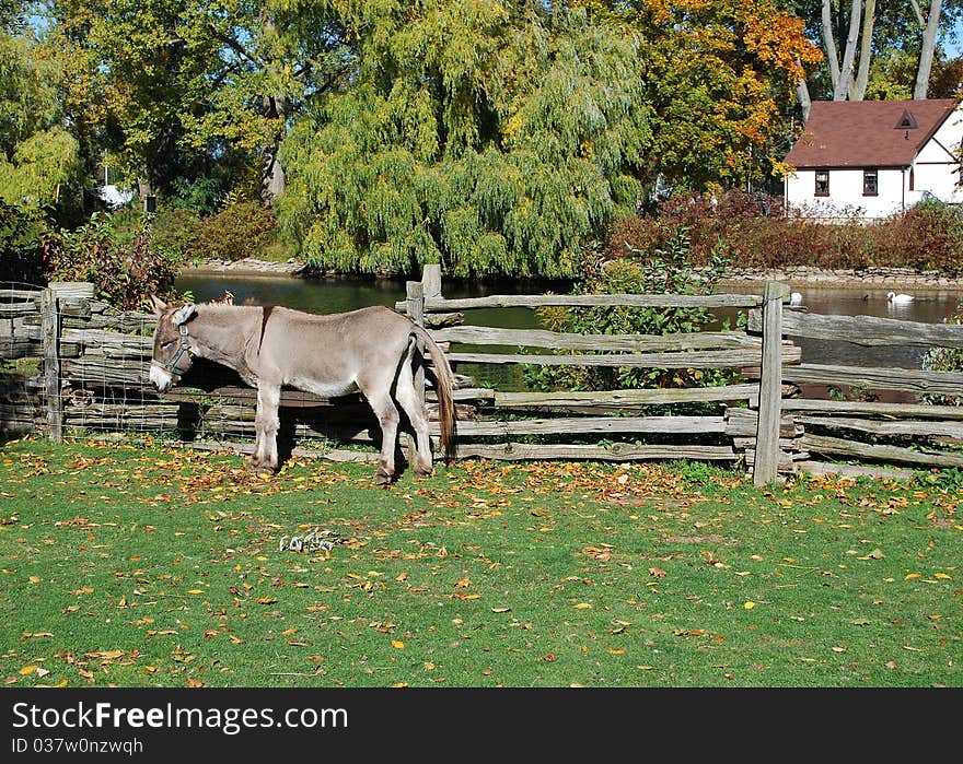 Autumn rural scene, Ontario, Canada. Autumn rural scene, Ontario, Canada