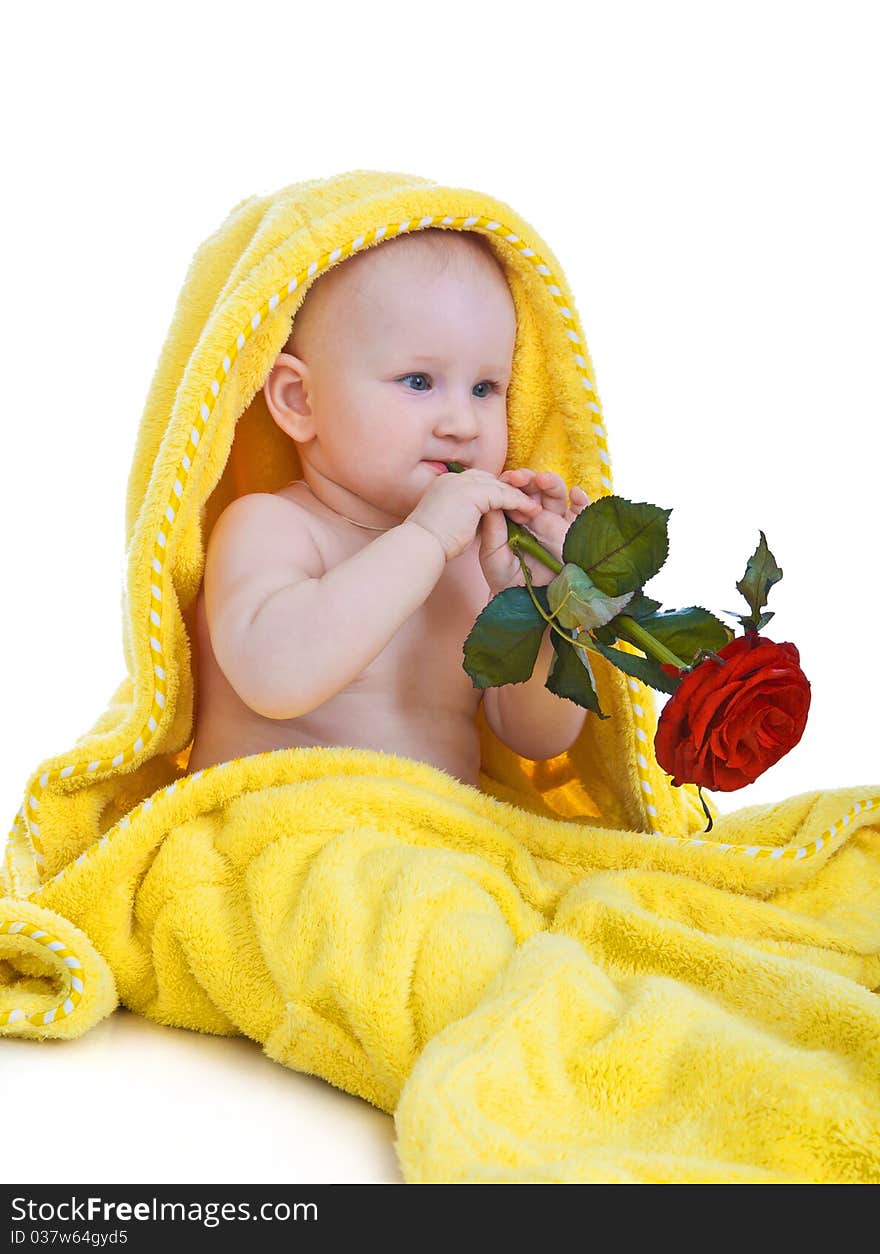 The child after bathing will wrap up a dressing gown with a red rose in hands isolated on a white background. The child after bathing will wrap up a dressing gown with a red rose in hands isolated on a white background