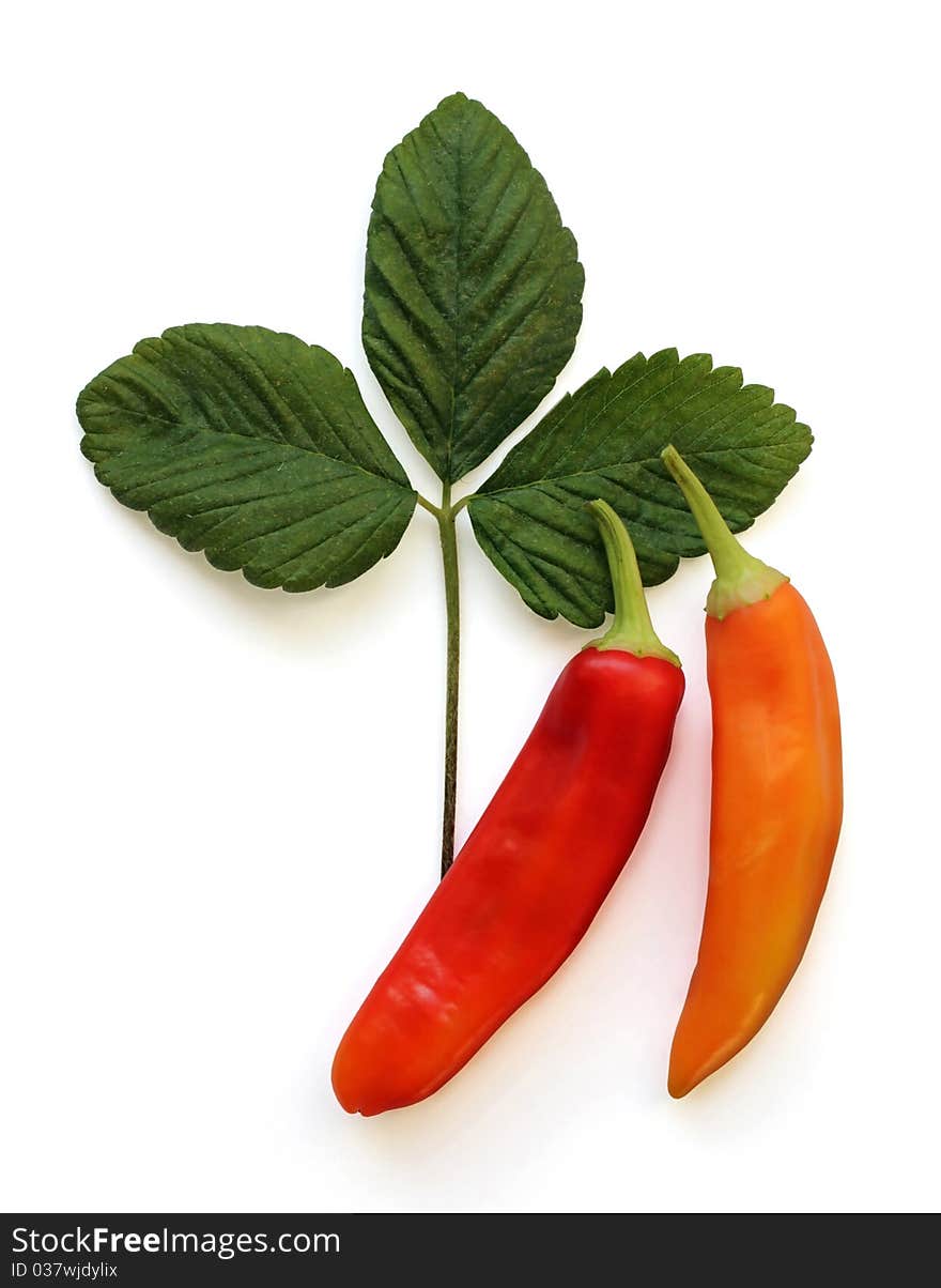 Two Hot Peppers