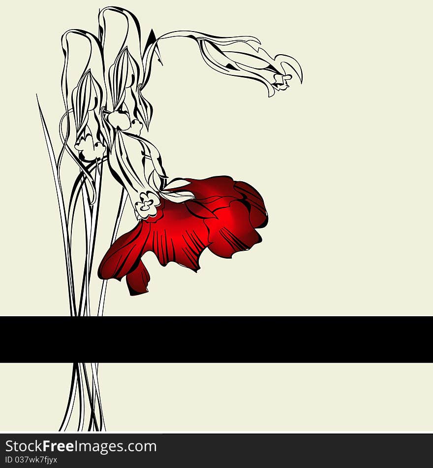 Template for card with red poppy flower