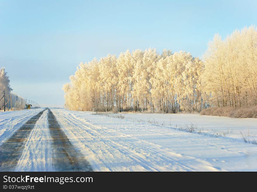 Winter landscape