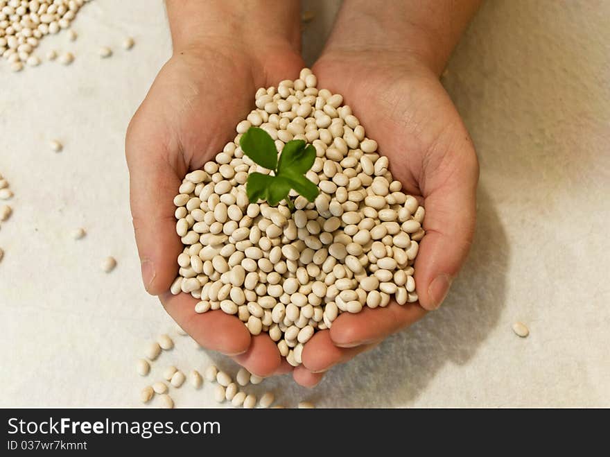 String bean handful in man's hands and a green sprout symbolising a new life