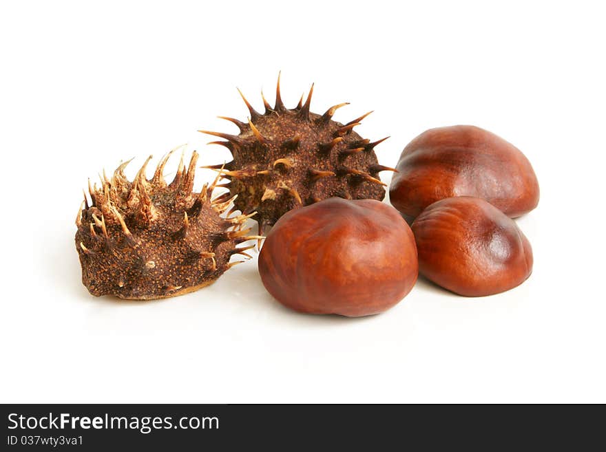 Chestnuts