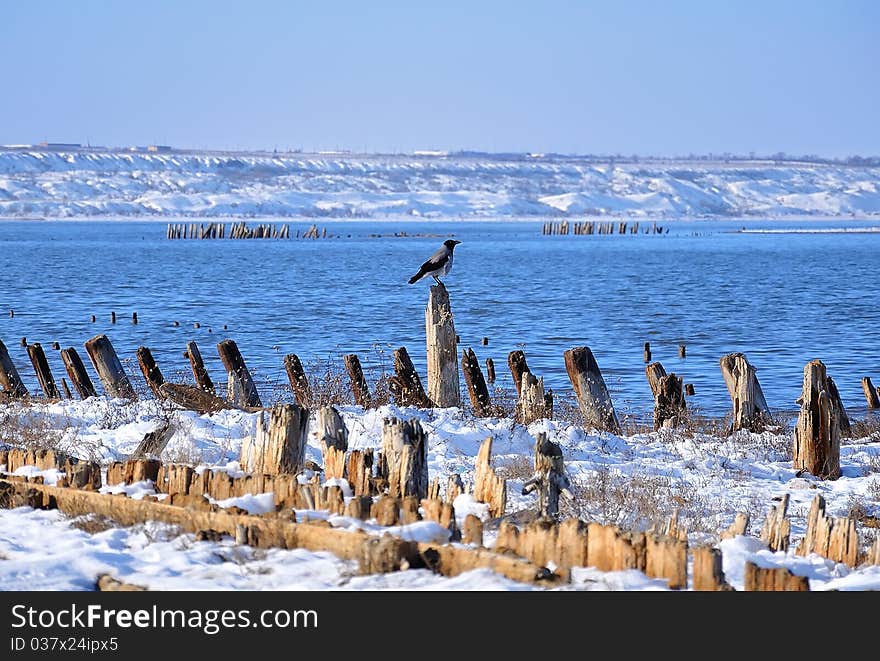 Winter landscape