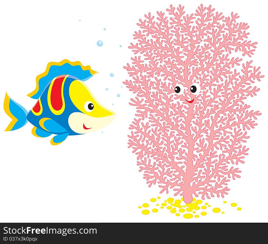 Colorful Fish Talks With Pink Coral