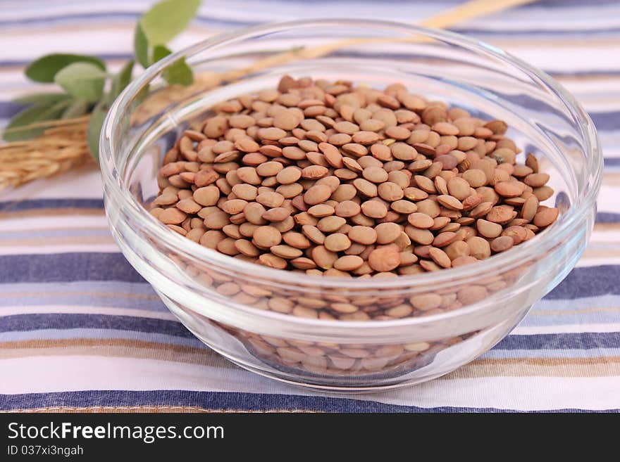 Brown Lentils