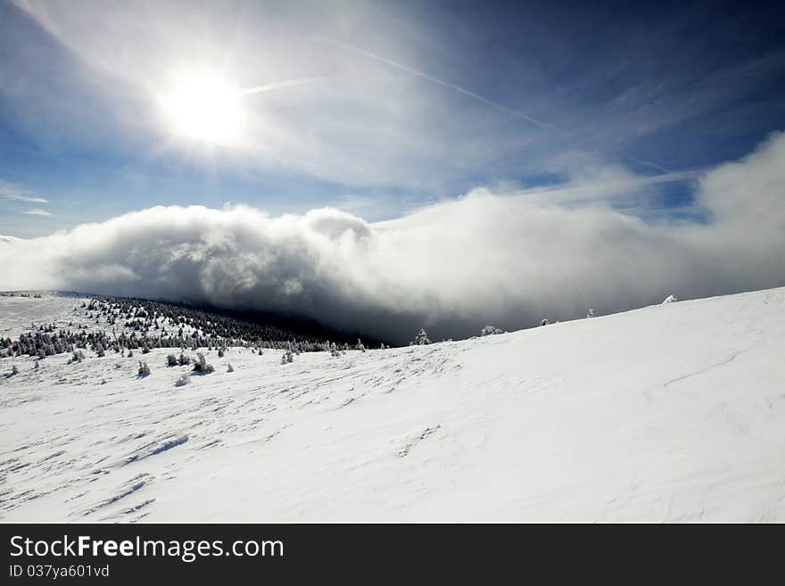 Beautiful winter landscape with fresh snow and sun