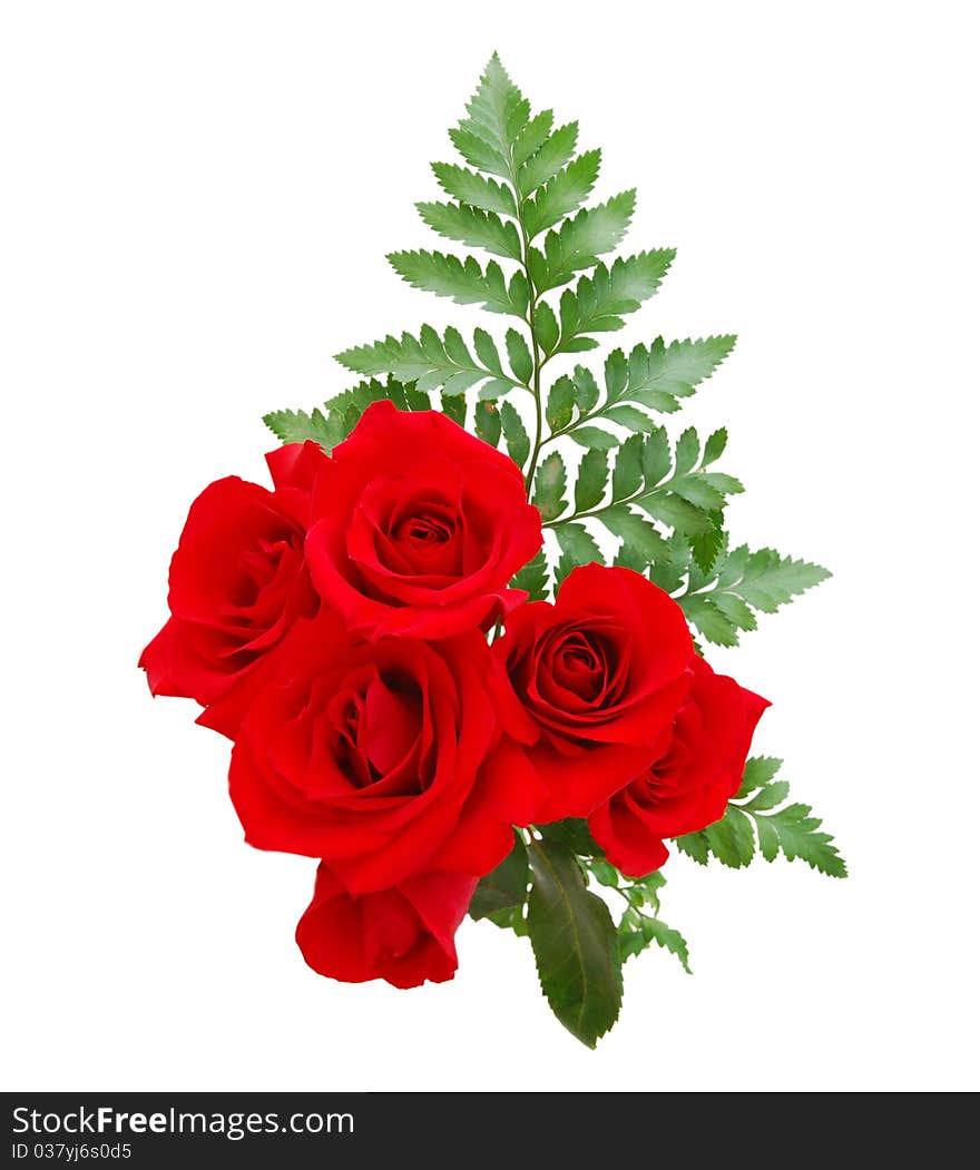 Two dozen red roses isolated