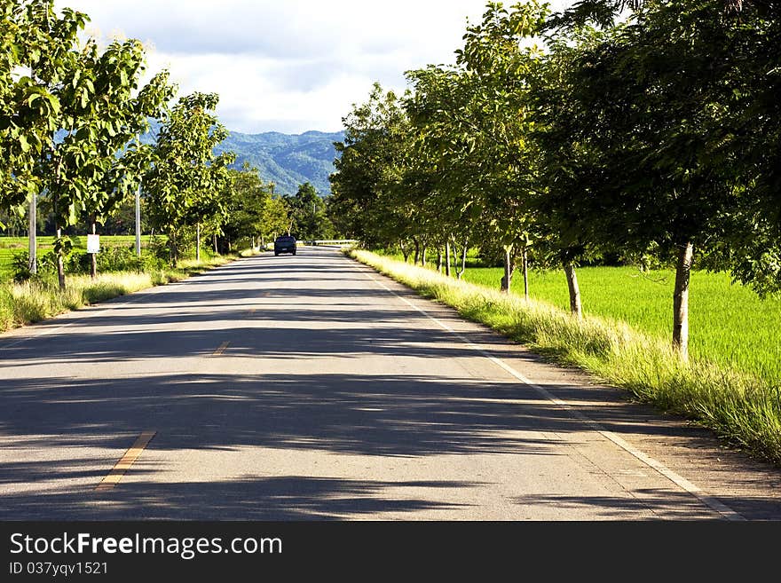 Road at Rice farm in mountain background in Thailand