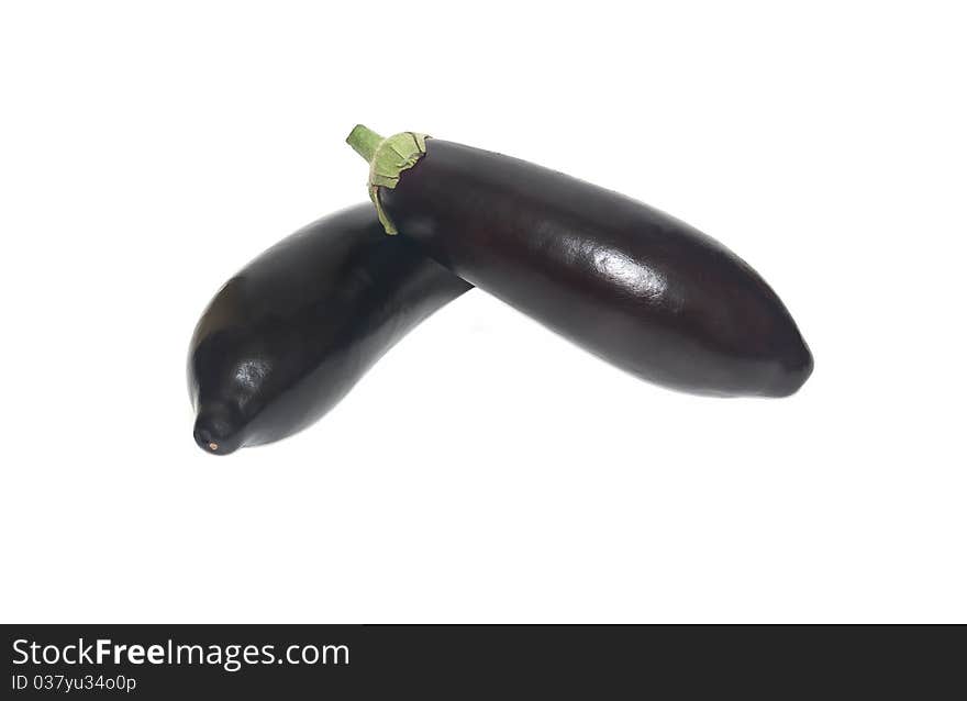 Eggplant species of perennial herbaceous plants