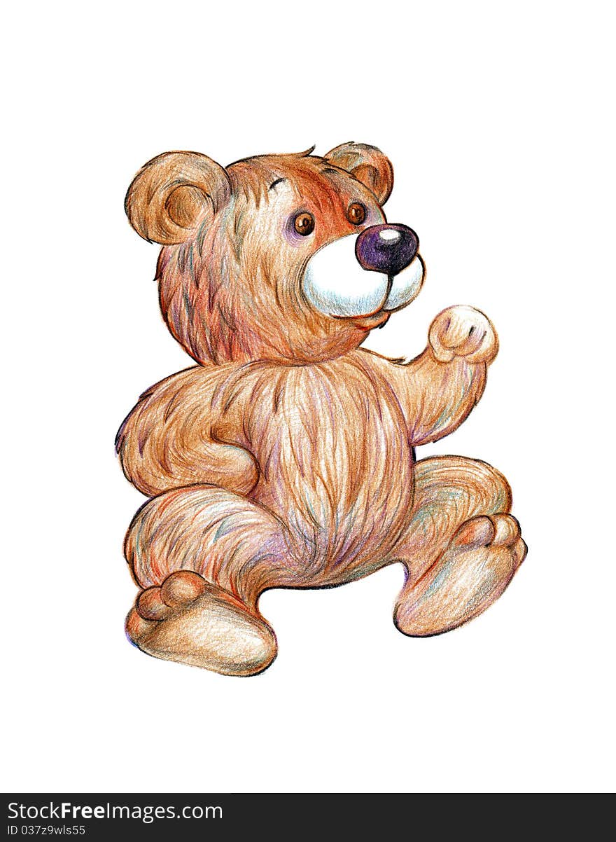 Cute brown teddy bear illustration isolated on the white