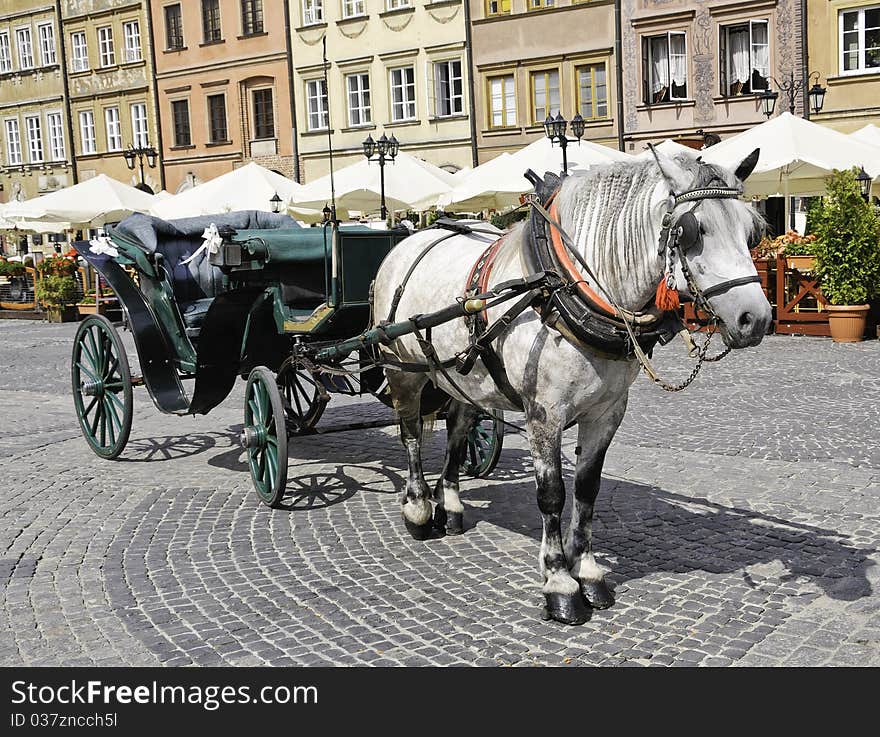 A European horse and carriage ready for tourists. A European horse and carriage ready for tourists