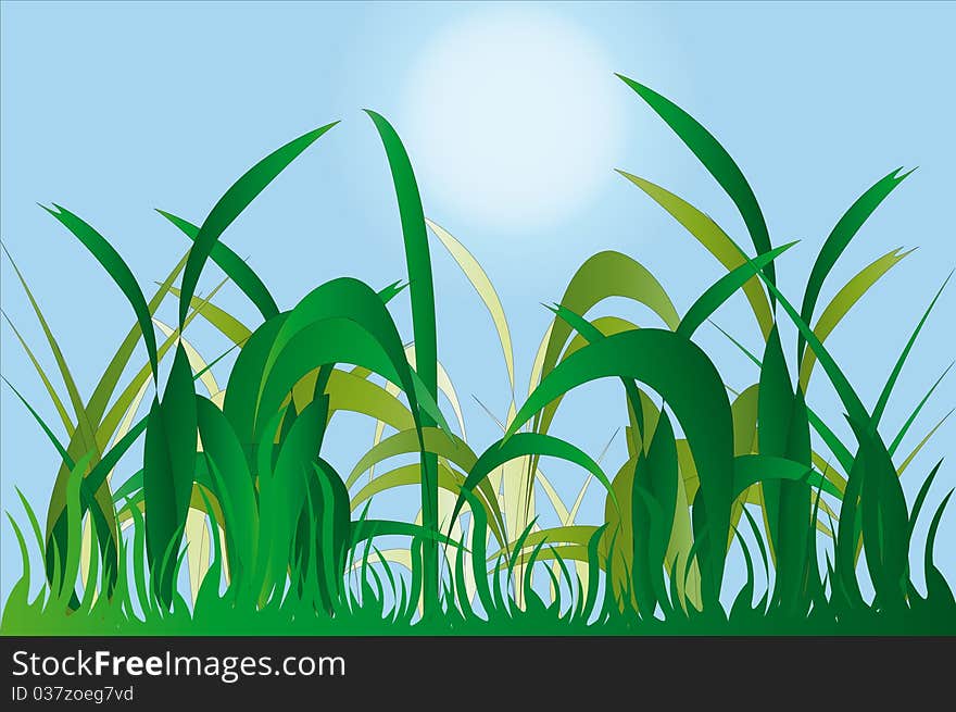 Vector illustration of grass against blue sky