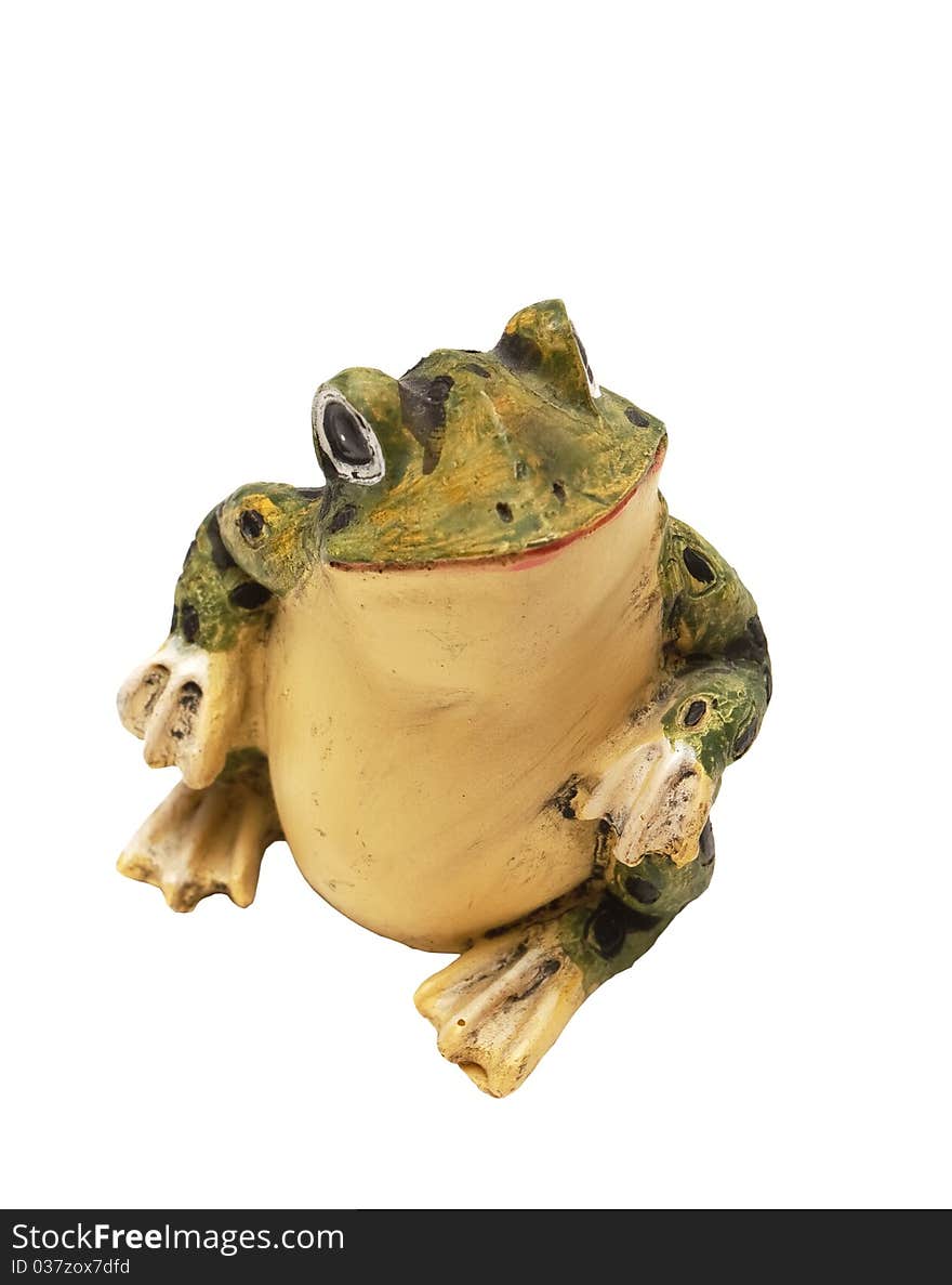 Frog on a white background (isolated).