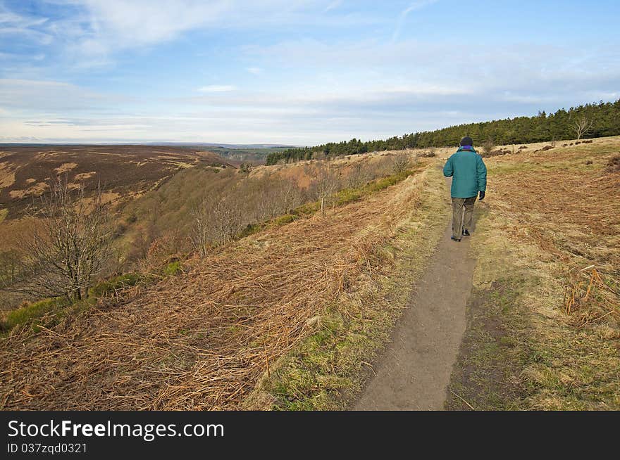 Man Walking Through The Countryside