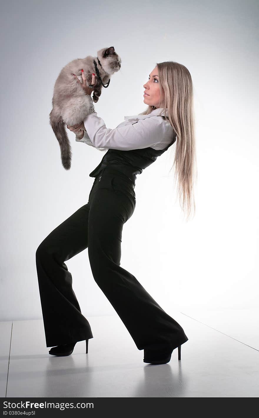 Young beautiful woman with cat, trousered blond girl , studio glamour portrait. Young beautiful woman with cat, trousered blond girl , studio glamour portrait