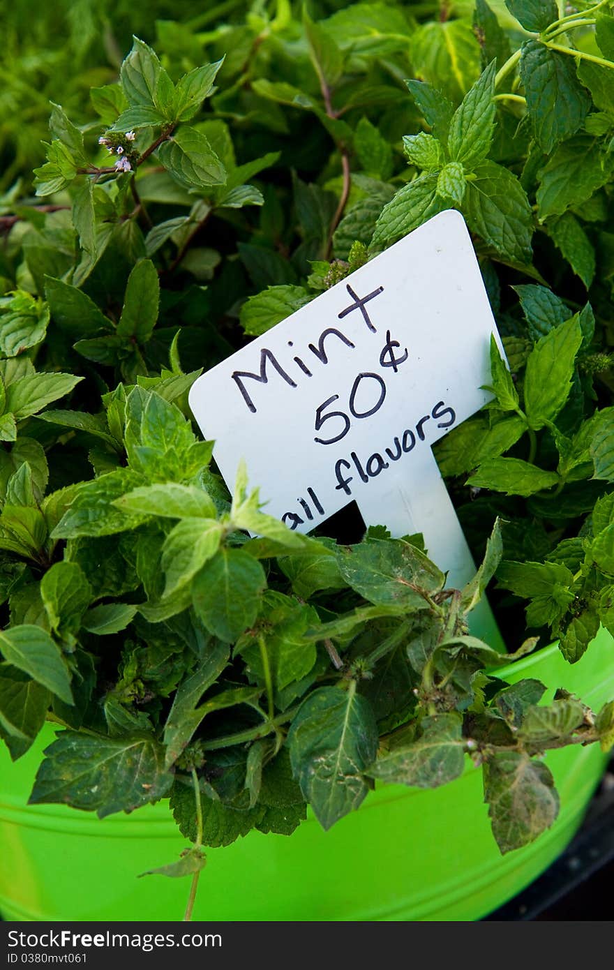 Fresh mint for sale at a farmer's market