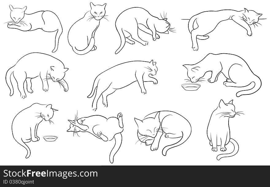 Vector illustration of Set of line cats silhouette