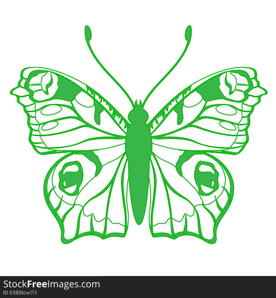 Vector Illustration of detailed butterfly silhouette.