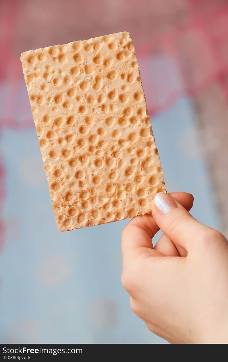 Tasty bread crisps in a hand. close-up object