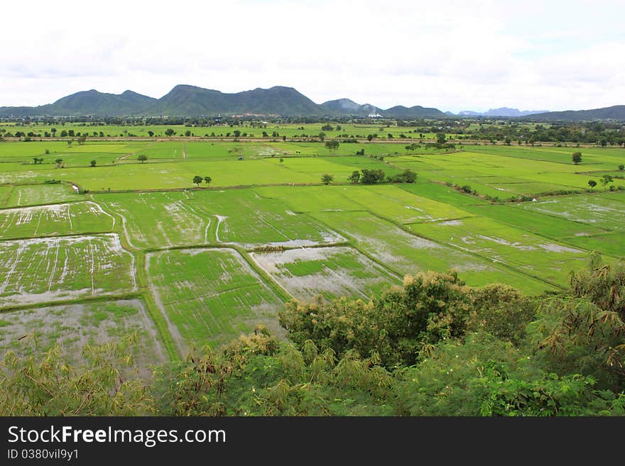 Rainy season and paddy field in Kanchanaburi province, Thailand