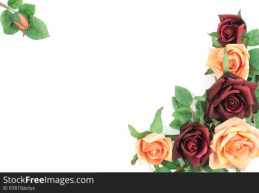 Batch of colorful roses on a white background