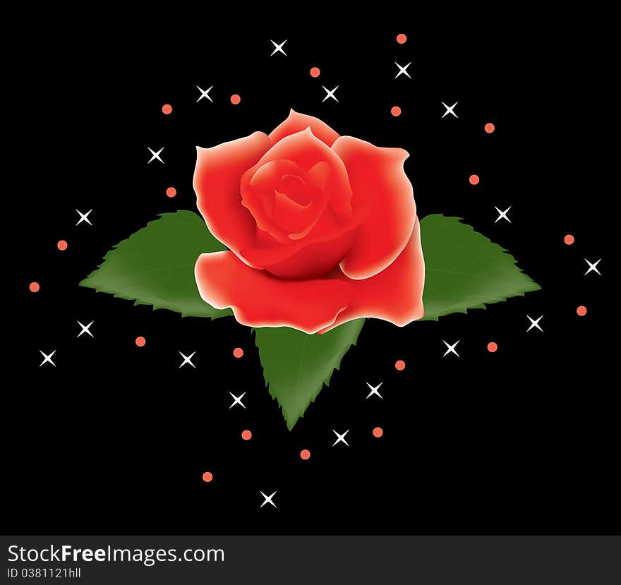 vector red rose with leaves and stars