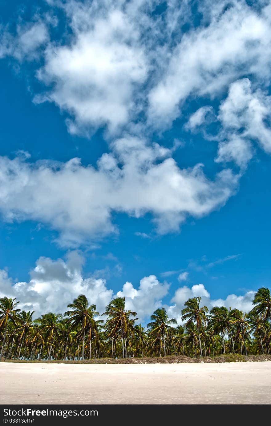 Tropical horizon of a brazilian beach