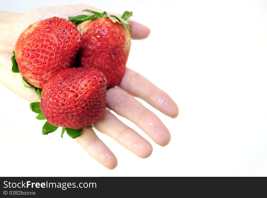 Big drop strawberry in hand on a white background