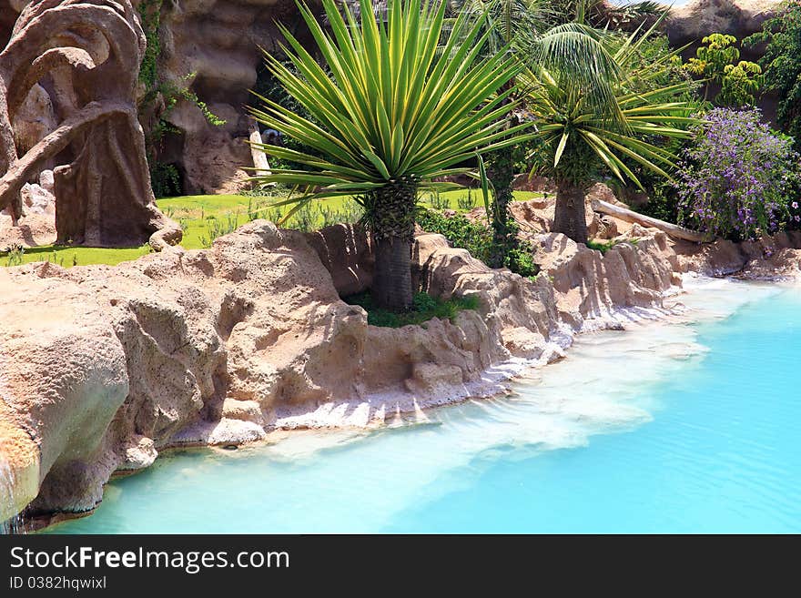 Pool and palms.