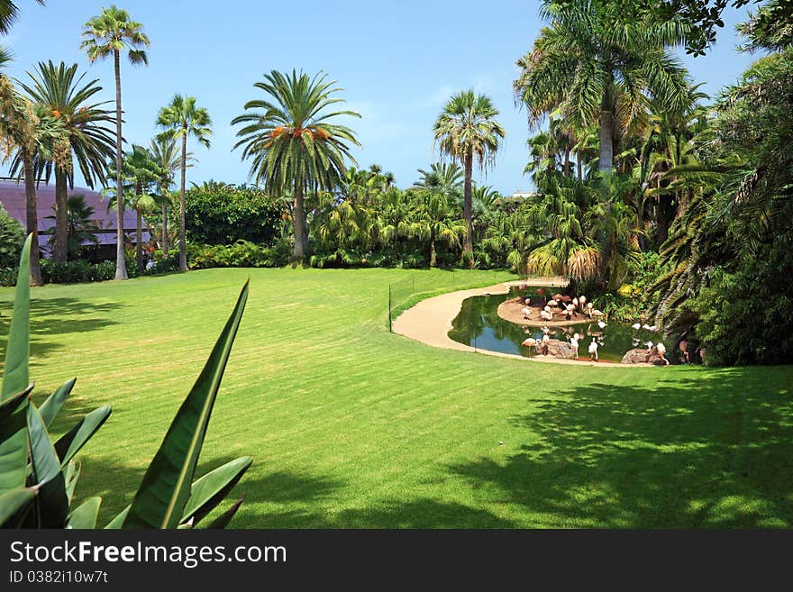 Beautiful park with flamingo.