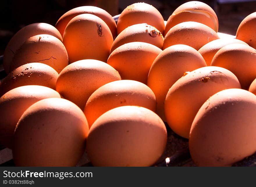 Eggs are on the grill grate. Eggs are on the grill grate