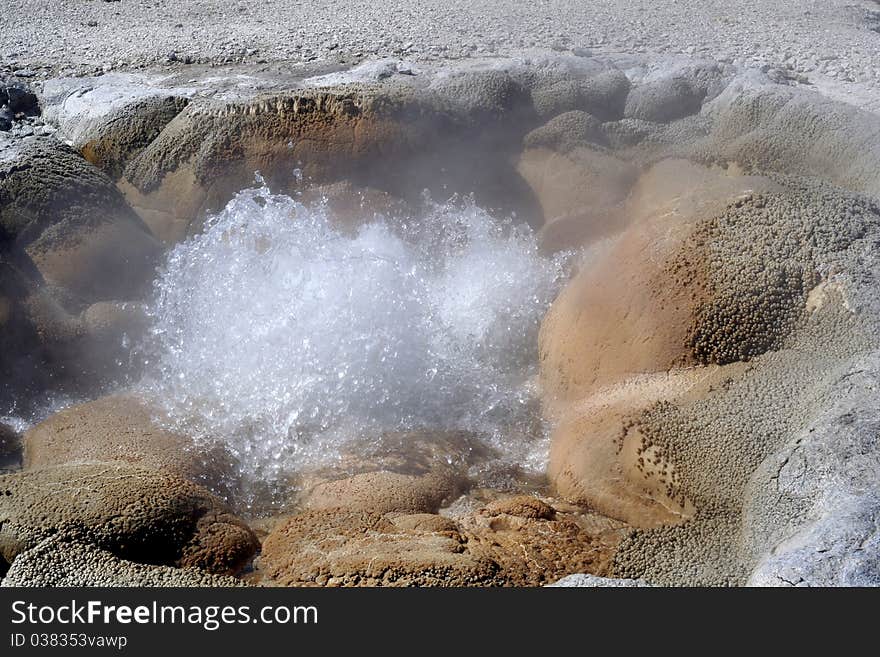 Yellowstone. Mustard Spring.