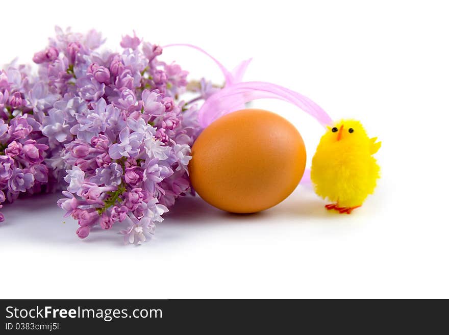 Easter egg, chicken and lilac on a white background