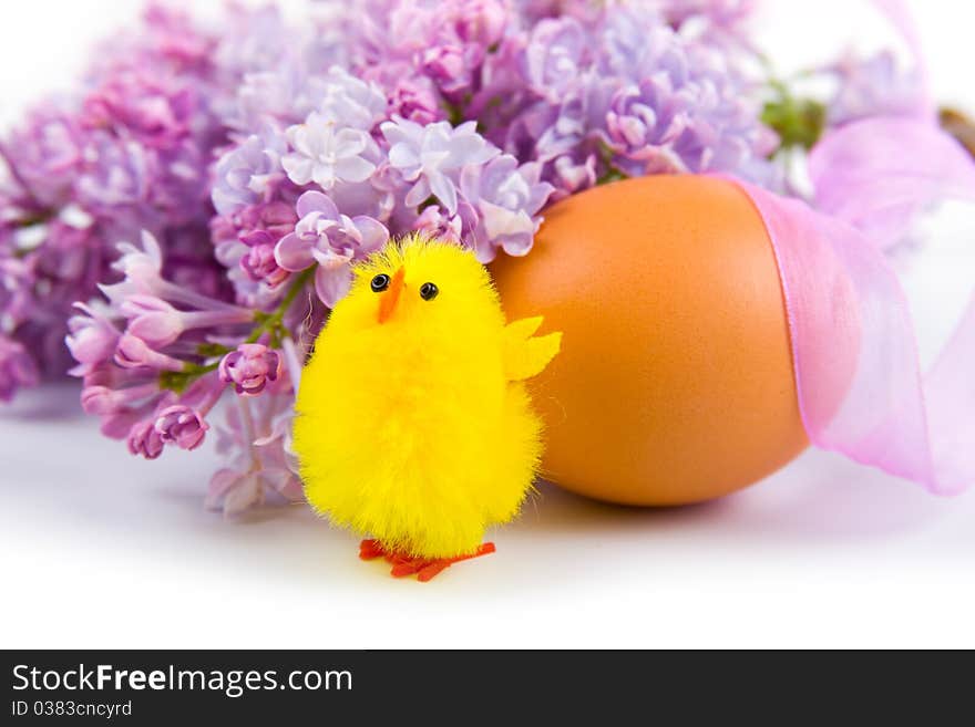 Easter egg, chicken and lilac on a white background