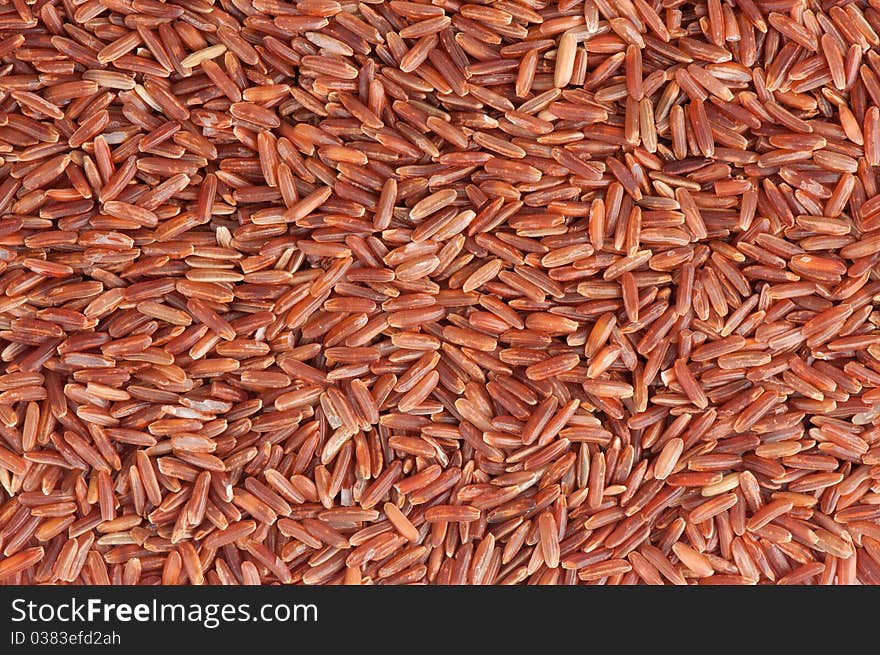 Red rice background