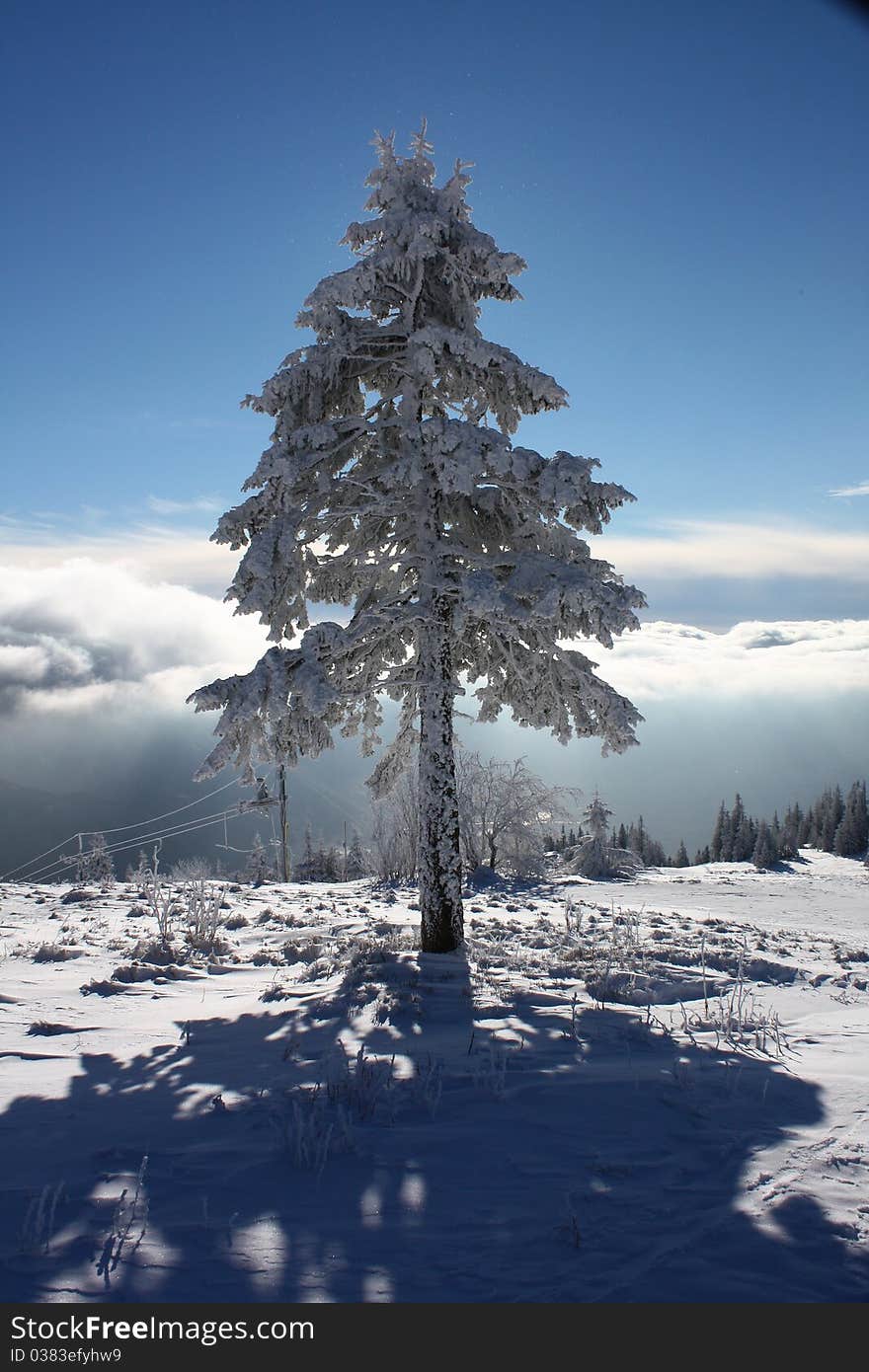 Winter mountains