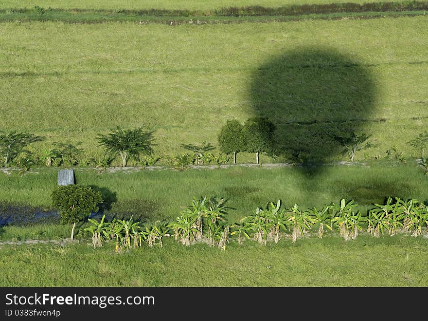 Shadow  at hot air balloon above.