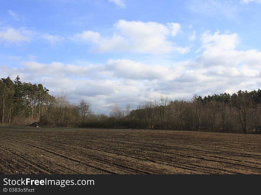 Beautiful Field In Spring