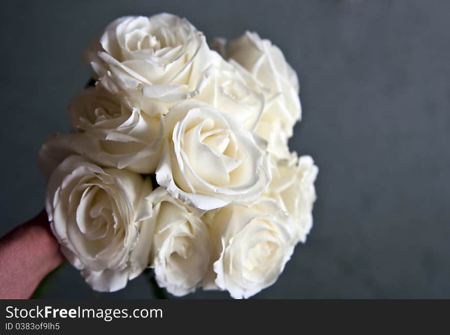 Bouquet of white roses held by a hand on a gray background