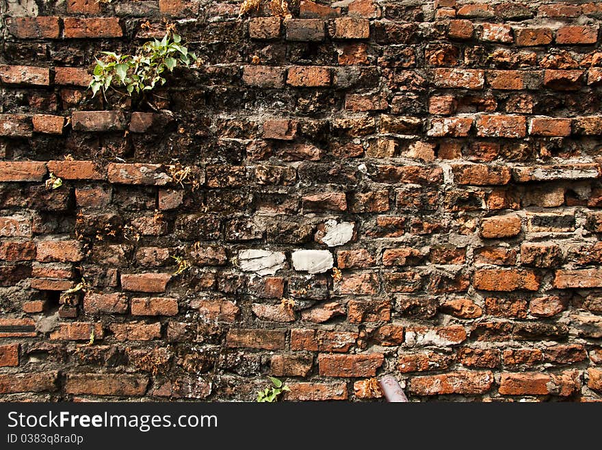 Background and the rough texture of the stones. Background and the rough texture of the stones